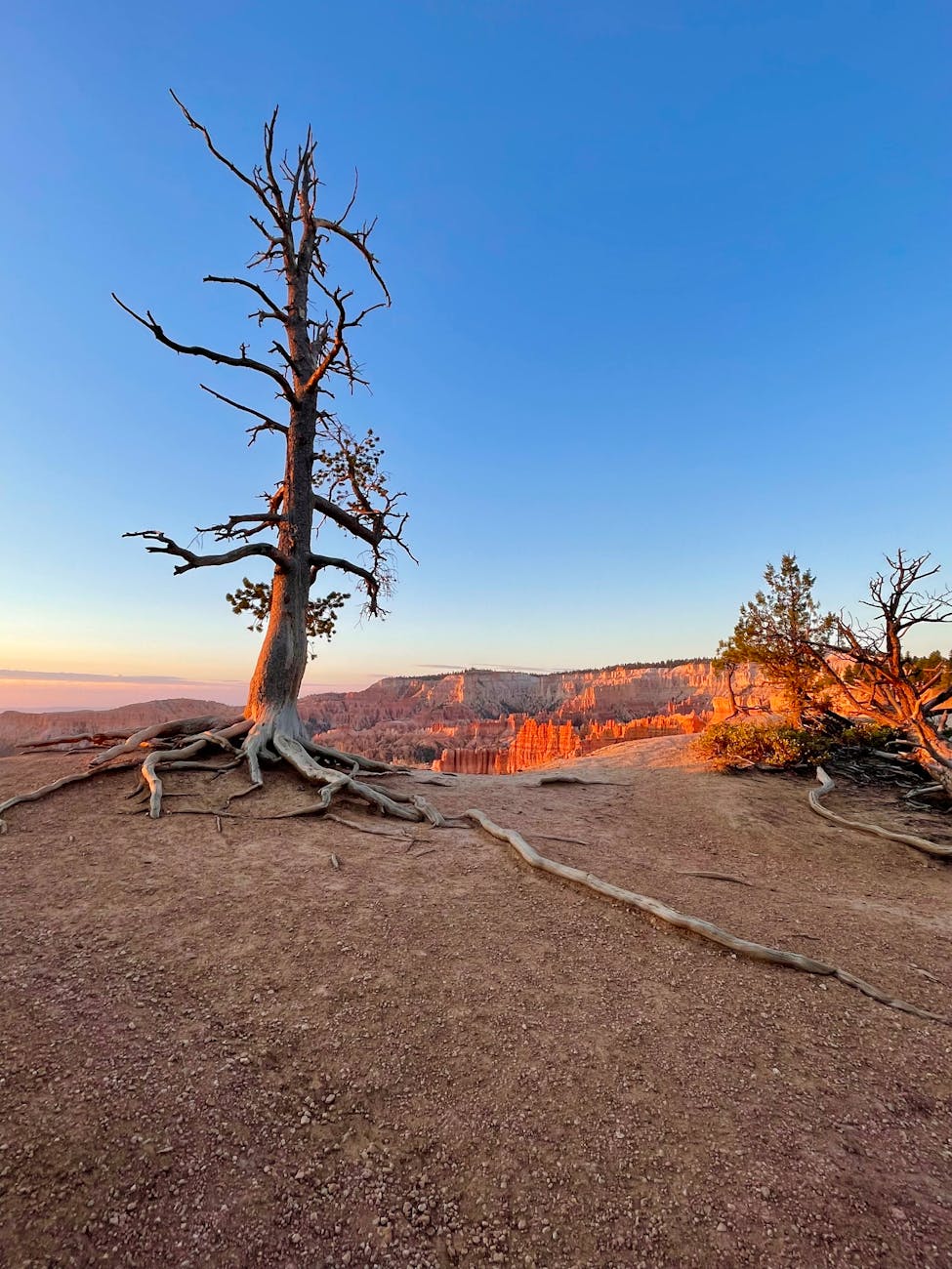 Optimized HRIS and ATS workflows for streamlined recruiting operations